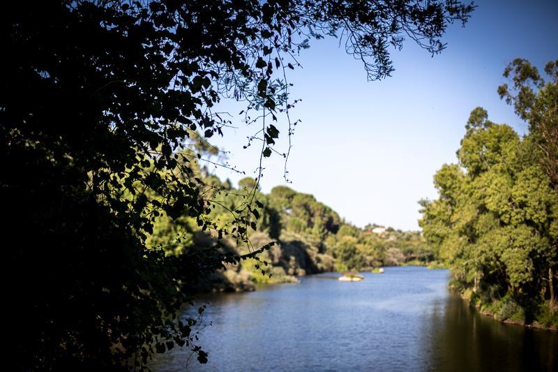 Caldas da Felgueira Casas Do Patio Country Houses & Nature מראה חיצוני תמונה