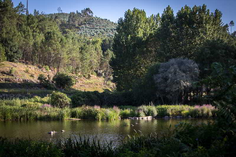 Caldas da Felgueira Casas Do Patio Country Houses & Nature מראה חיצוני תמונה